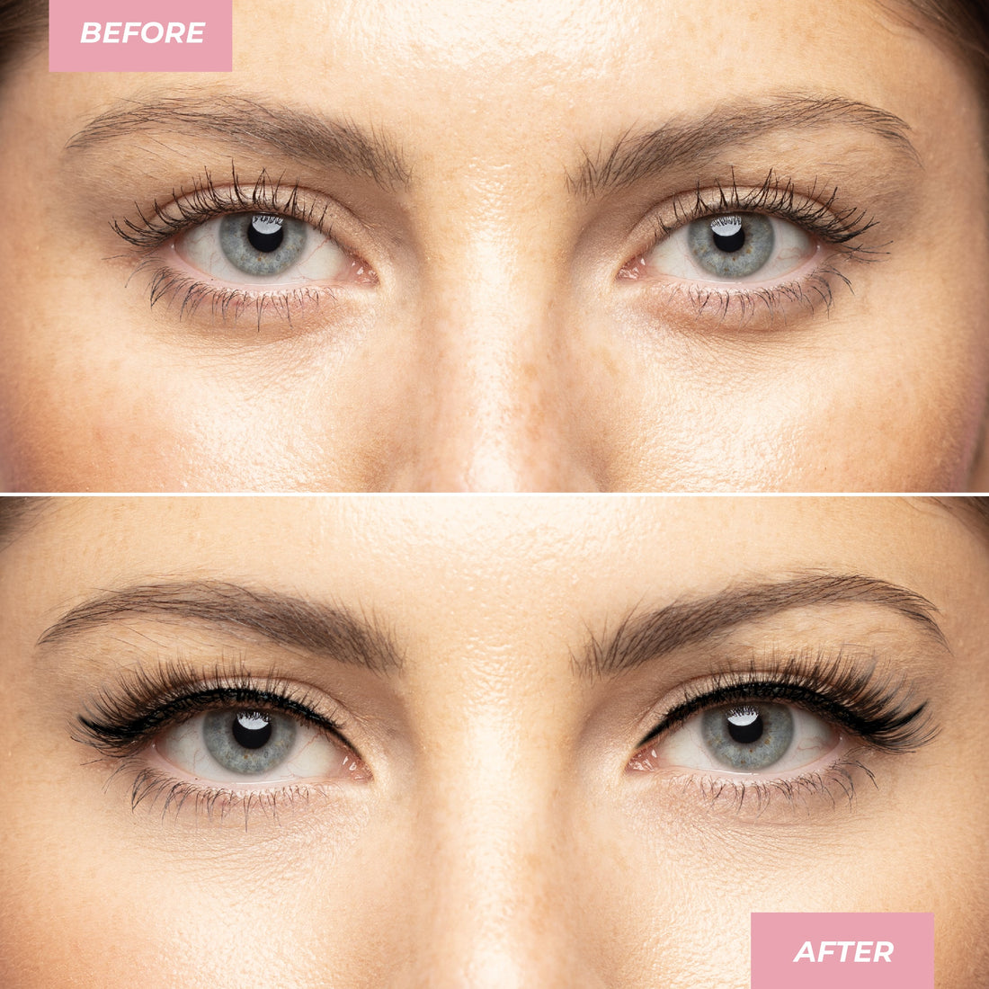 Longwear False Lashes - Rome Duo Value Set